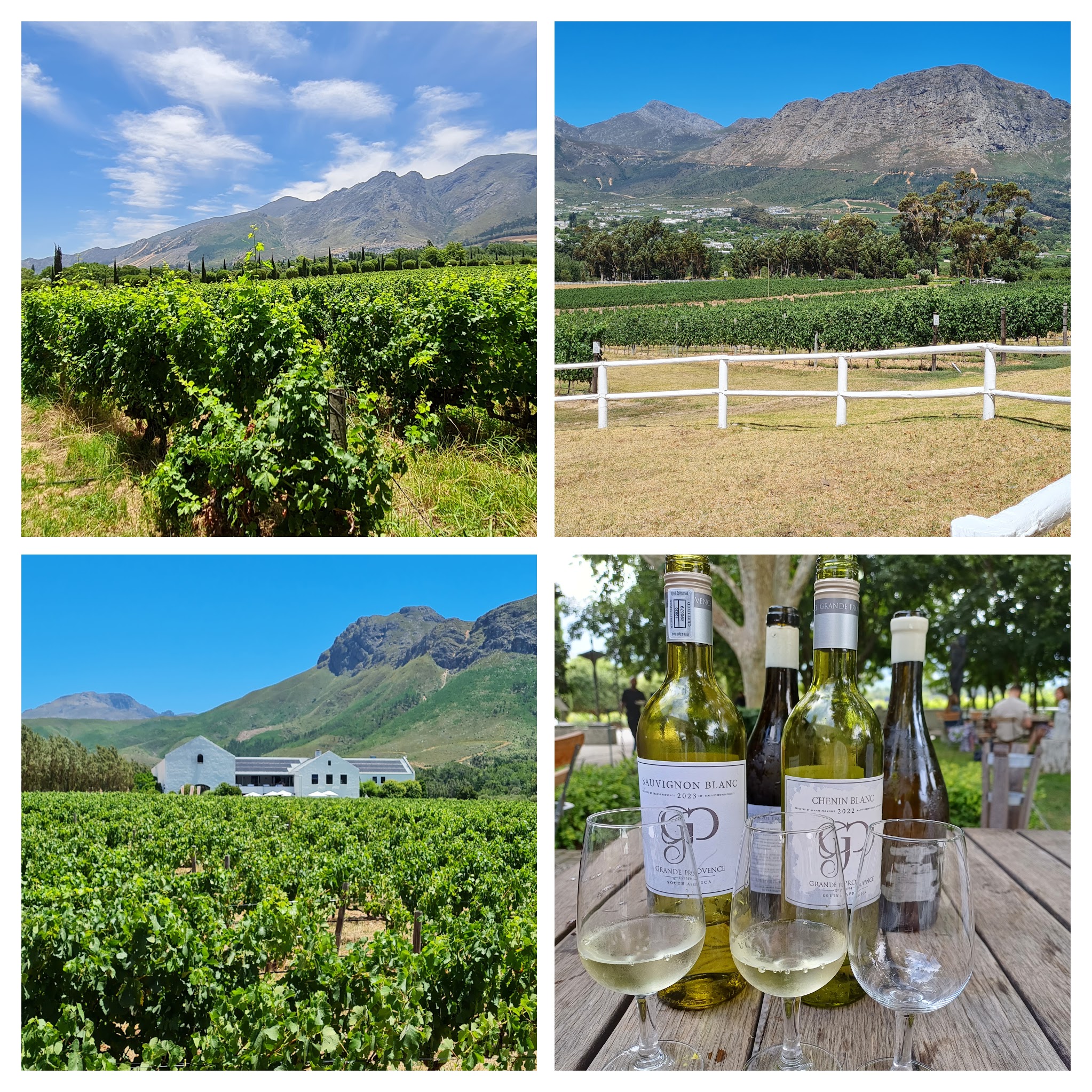 Winetasting Franschhoek